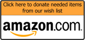 SGDR Amazon wish list